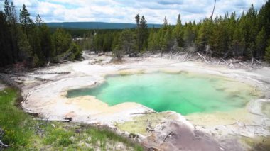 Yellowstone Ulusal Parkı 'nda sıcak yeşil havuz, Wyoming, ABD