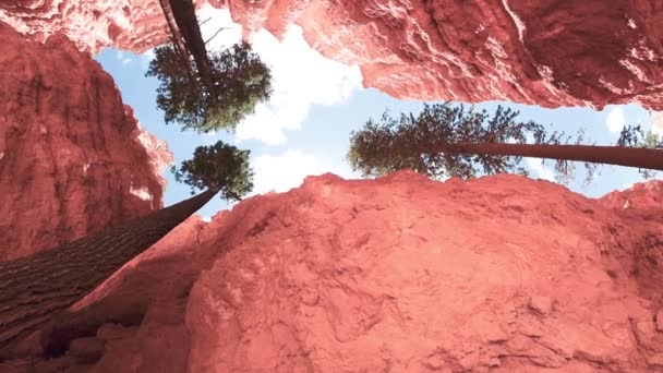 Pohled nahoru na Bryce Canyon Mountains and Trees — Stock video