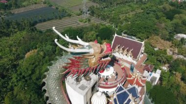 NAKHON PATHOM, THAILAND 15 ARALIK 2019 Amphoe Sam Phran 'daki Budist Tapınağı Wat Samphran Dragon Temple' ın inanılmaz hava manzarası