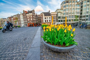 AMSTERDAM, NETHERLANDS - 25 NİSAN 2015: Şehir sokakları boyunca turistler ve yerel halk darp etti.