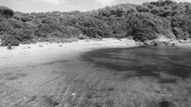 Elba Adası 'nın havadan görünüşü. Barabarca Sahili ve Güney Sahili yaz mevsiminde. Drone bakış açısı