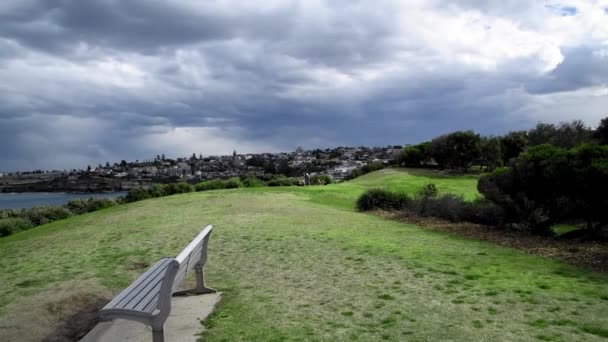 Bondi Beach promenade and meadows, Austrália — Vídeo de Stock