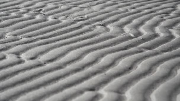 Zandduinen van een prachtig tropisch strand. Langzame beweging — Stockvideo