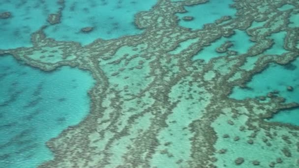 Queensland Coral Reef, Austrálie. Velký bariérový útes, který je vidět z letícího letadla. Zpomalený pohyb — Stock video