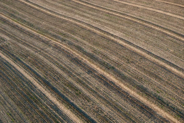 Сільськогосподарський візерунок — стокове фото