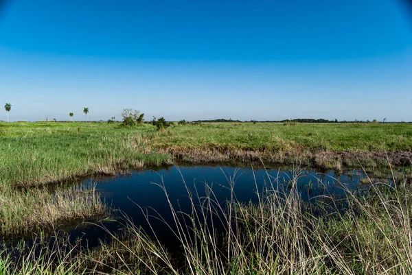 Landschaft im Inneren des Flusses Ivinhema überflutet Staatspark. — Stockfoto