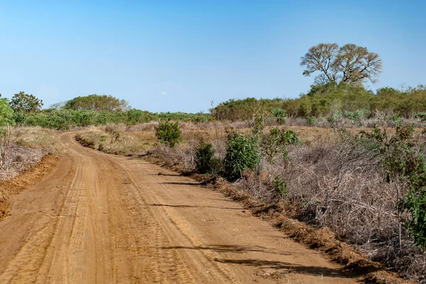 Сельская дорога в Саванне на среднем западе Бразилии — стоковое фото