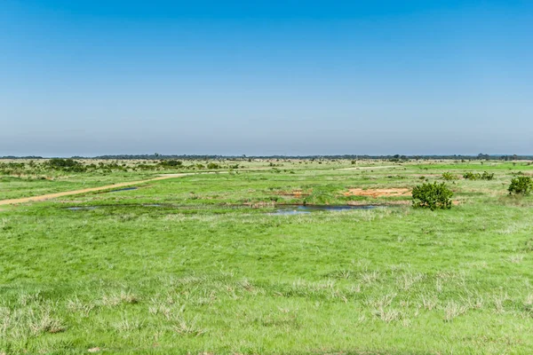 Parque Estadual Floodplain Rio Ivinhema — Fotografia de Stock