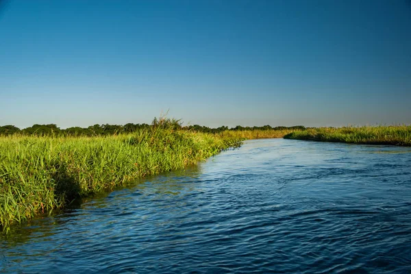 Rivière Curupai dans le parc national des plaines inondables de la rivière Ivinhema — Photo