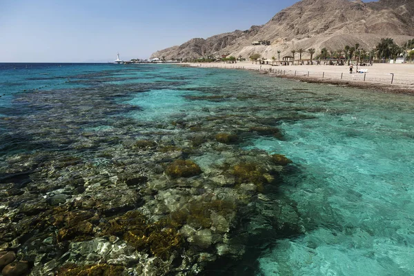 Korallenriff Und Küstenfelsen Eilat Israel Rotes Meer — Stockfoto