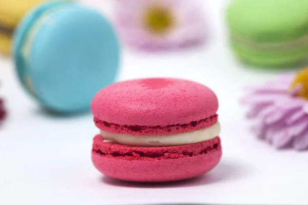 Macaroons Franceses Doces Coloridos Com Flores Fundo Branco — Fotografia de Stock