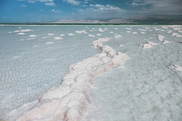 Textur Des Toten Meeres Salzige Meeresküste — Stockfoto