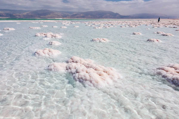 Υφή Νεκρής Θάλασσας Αλμυρή Ακτή Άγρια Φύση — Φωτογραφία Αρχείου