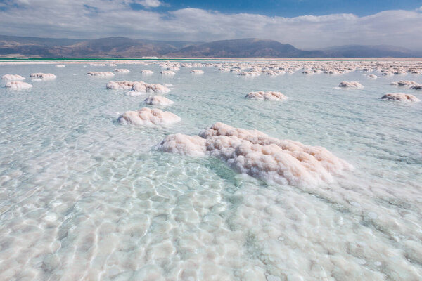 Texture of Dead sea. Dead sea salty shore. Wild nature.