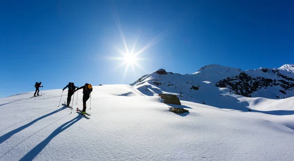 Esquí montañismo (Skimo). Un grupo de esquiadores en los Alpes italianos — Foto de Stock