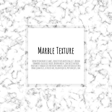 Gri, siyah, beyaz mermer şablon metin için kare yer ile