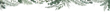 Horisontal botanical vector design banner. Pink rose, eucalyptus, succulents, flowers, greenery. Natural spring card or frame. clipart