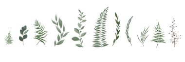 Vektör tasarımcı öğeleri koleksiyonu greeng yaprakları otlar suluboya tarzında ayarla.