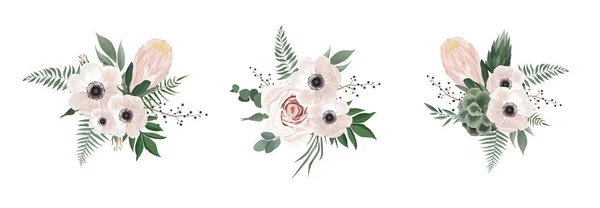 矢量花束设计海葵, 桉树枝。婚礼矢量邀请卡水彩设计师元素集. — 图库矢量图片