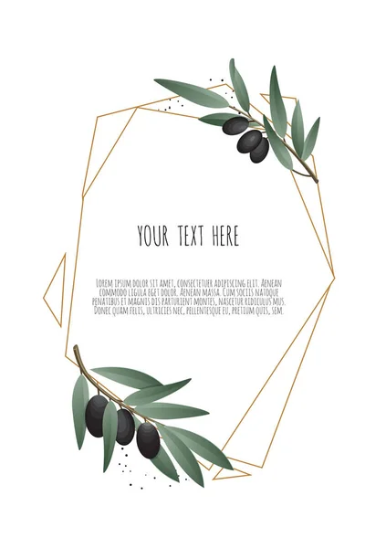 Olive branch. Design template  illustration. Design template.