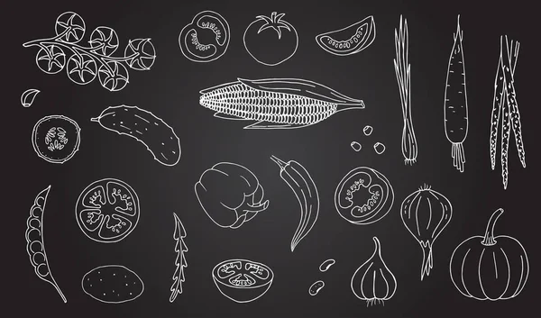Gemüse handgezeichnet Stil weiße Farbe auf schwarzem Hintergrund — Stockvektor