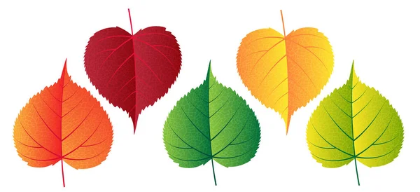 Vector kleurrijke herfst vallende bladeren - design elementen — Stockvector