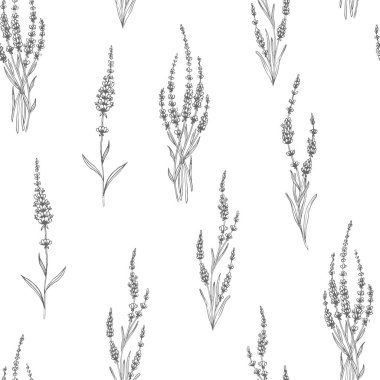 Lavanta desenli. Duvar kağıtları, web sayfası arkaplanları, yüzey dokuları, tekstil için mükemmel..