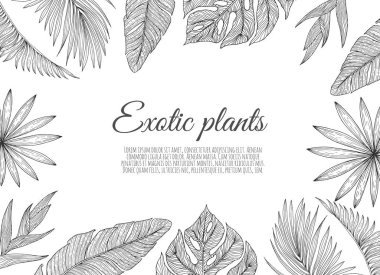 Çiçekli tropik palmiye yaprakları ve çiçeklerle dekore edilmiş bir sınır çerçevesi.