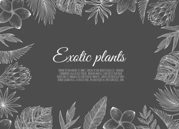 Een rand frame ontwerp versierd met bloemen tropische palm bladeren en bloemen — Stockvector