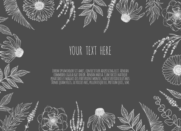 Floral backgrounds with hand drawn herbs and wildflowers. Monochrome vector illustration in sketch style.