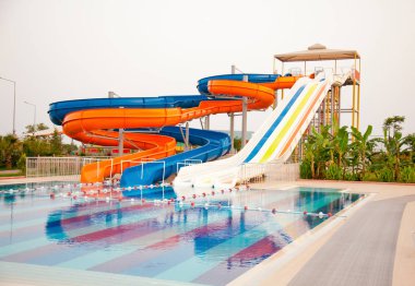 Kurt tahta kutuya uyuyor