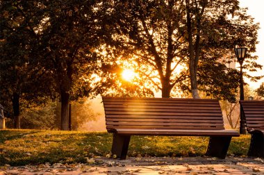 güneşli bir gün sonbahar Park ahşap banklar
