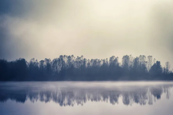 picturesque view of forest with grey sky reflecting on mirror surface of lake