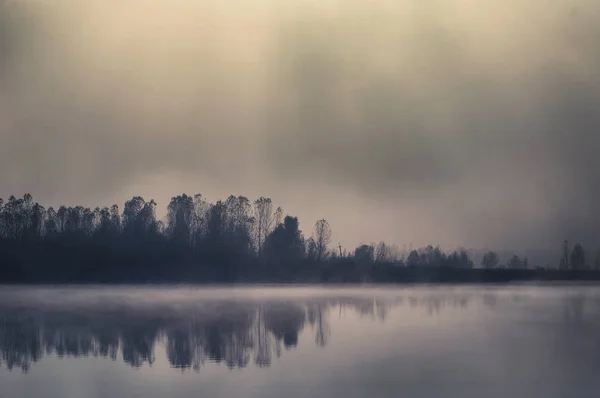 Живописный Вид Лес Серым Небом Отражающимся Зеркальной Поверхности Озера — стоковое фото