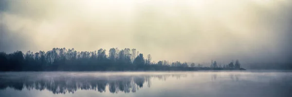 湖の鏡面に反射の灰色の空と森の美しい景色 — ストック写真