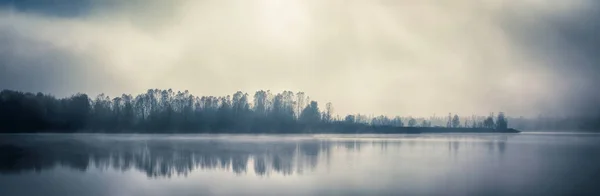 picturesque view of forest with grey sky reflecting on mirror surface of lake