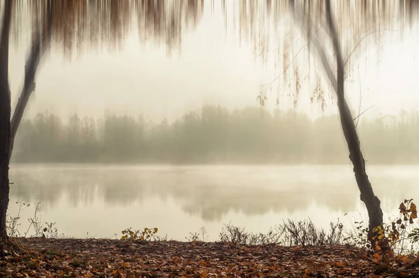 Picturesque Blurred View Forest Grey Sky Reflecting Mirror Surface Lake — Stock Photo, Image