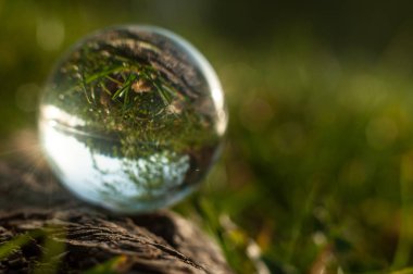 bulanık doğal arka plan üzerinde manzara yansıması ile cam top 