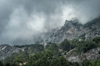 erken sisli sabah güzel dağ pitoresk görünümü, Kırım, Ukrayna