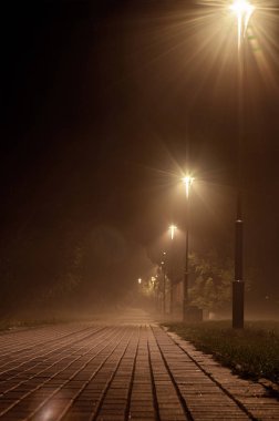 gece parkta ışık direkleri ile aydınlatılmış asfalt yol 