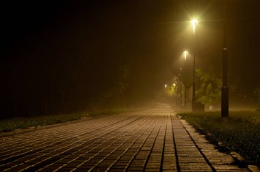 gece parkta ışık direkleri ile aydınlatılmış asfalt yol 