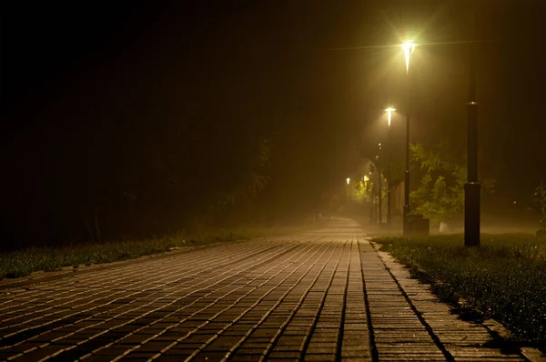 Асфальтированная Дорожка Освещенная Световыми Столбами Парке Ночью — стоковое фото