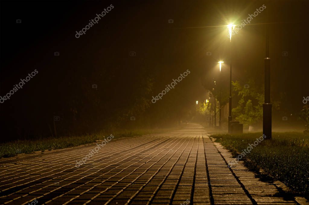 Fotos de Camino Pavimentado Iluminado Por Postes Luz Parque Por Noche -  Imagen de © Yuriy_Vlasenko #295239996