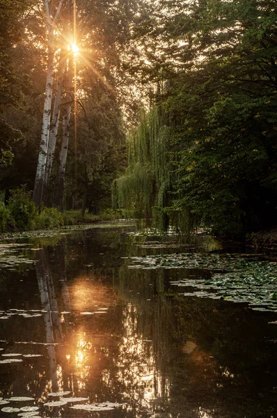 Vista Pitoresca Nascer Sol Refletindo Sobre Superfície Água Lago Rodeado — Fotografia de Stock