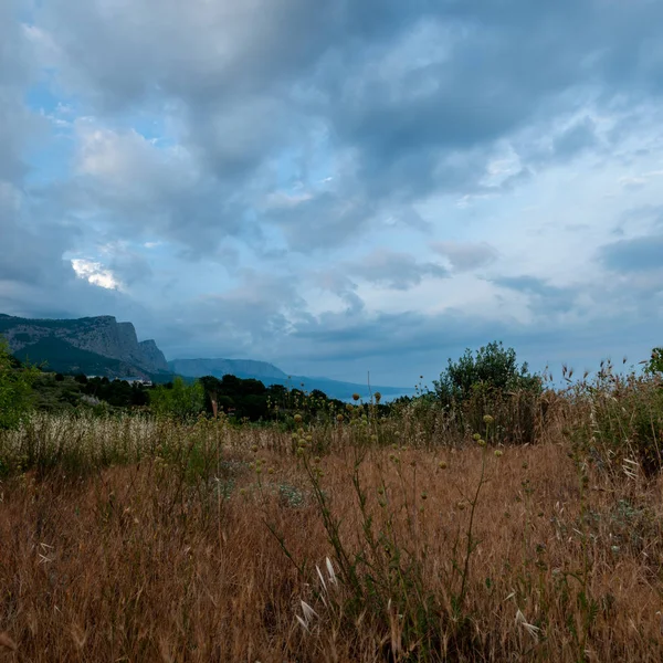 erken yaz sabahı kayalık sahil ile sakin deniz manzarası pitoresk görünümü , Kırım, Ukrayna