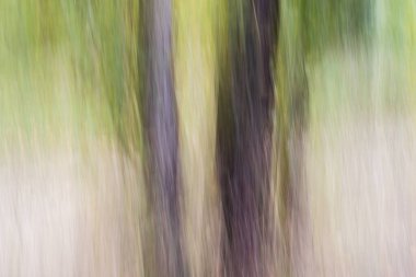 Soyut Geometrik Desen, üretken hesaplama sanatı çizimi