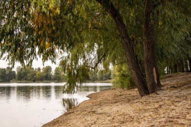 Soyut Geometrik Desen, üretken hesaplama sanatı çizimi