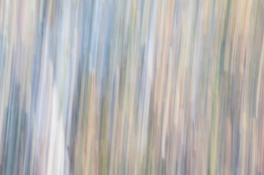 Soyut sihirli ağaç arka planı. Kamera düşük panjurlu kelime oyunu.