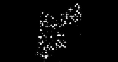 Flying Colors into Generative Motion Graphic for Jordan Map