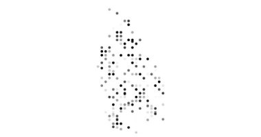 Organic circle motion visualization Sri Lanka